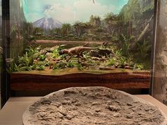 -辽宁古生物博物馆