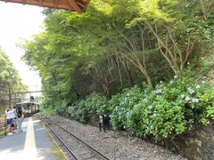 -岚山嵯峨野观光小火车
