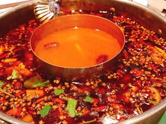 -蛙两只美蛙鱼头火锅(恒茂店)