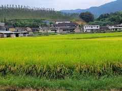 -云水谣景区