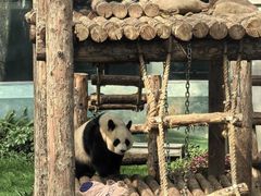 -大连森林动物园