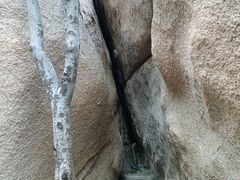 -北京凤凰岭