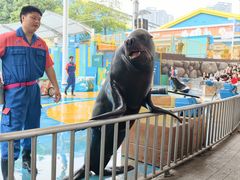 -海合安成都极地海洋公园
