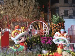 -越秀西湖花市(广州城市广场花卉店)