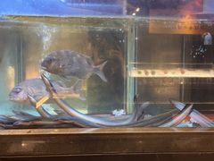-九洲喜来登酒店湖月日餐厅