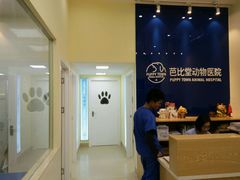 -芭比堂动物医院广州顽皮分院