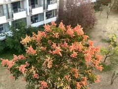 -安徽大学(磬苑校区)