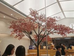 -艾薯夫妇Aysh(福田星河COCOPark店)
