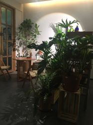-芳香乐府SPA·五行芳疗