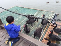 iphone_upload_pic-南京汤山紫清湖生态旅游温泉度假区