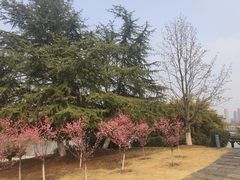 -白塘生态植物园