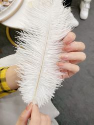 -Wink美甲美睫