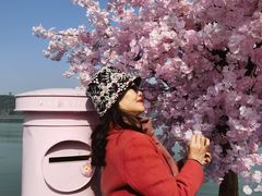 -水上明月·湖景餐厅