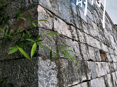 -汤山公园