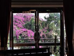 -鼓浪屿钢琴博物馆