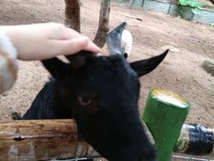 -青青世界