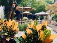 -Willing·Coffee&Brunch&Dinner(万达店)