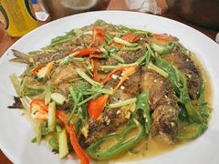 禾花鱼-宁远血鸭酒家(永州店)