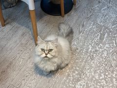 -小时光咖啡馆(北锣鼓巷店)