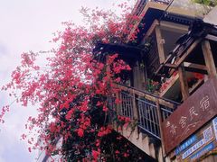 -梧桐山风景名胜区