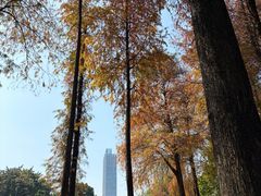-晓港公园