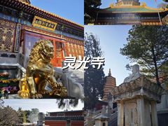-灵光寺