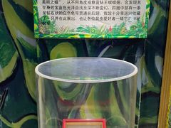 -上海大自然野生昆虫馆(东方明珠·爬宠昆虫探索中心)