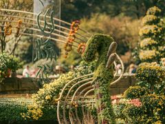 -杭州植物园