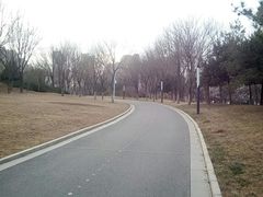 -五环公园