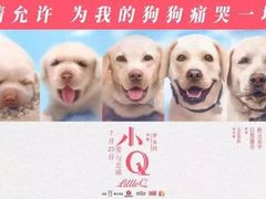 -曹杨影城(曹杨店)