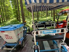 -黄海国家森林公园