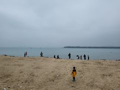 -东郊椰林