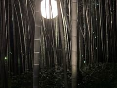 -杭州黄龙洞