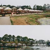 春天应该怎么过❓赏花～拍照～吃火锅❗