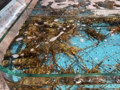 -阿伟海鲜楼·福建菜(延寿店)
