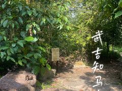 -武吉知马自然保护区