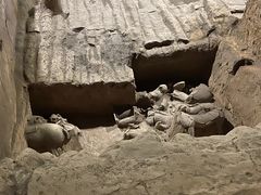-秦始皇帝陵博物院(兵马俑)