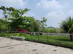 -中山市树木园