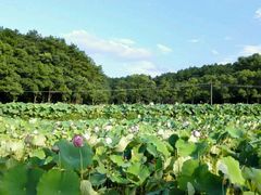 -韶山毛泽东同志故居