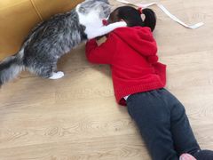 -1013 PET SHOP精品宠物商店(丁香店)
