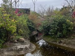 -苏州太湖国家湿地公园