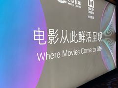 -万达影城(汉街万达广场IMAX店)