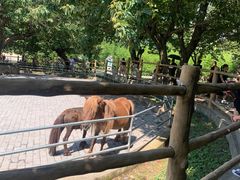 -西安秦岭野生动物园