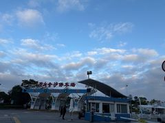 -碧海金沙