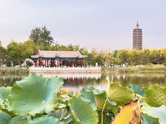 -西海子公园