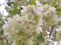 -江南大学(蠡湖校区)