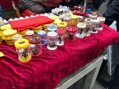 -万商花鸟市场