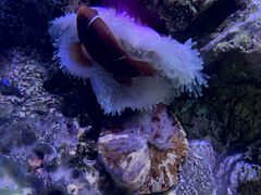 -大连老虎滩海洋公园