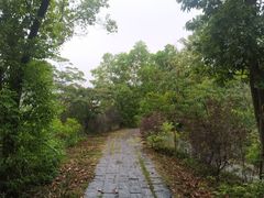 -东莞植物园