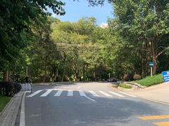 -广州市流溪河国家森林公园